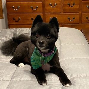 Meet your Posher, Rebecca